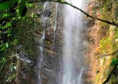 Cascada en Tingo María