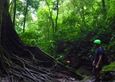 Paquetes y Tours en Tingo María