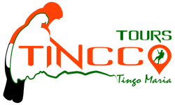 TINCCO TOURS Tingo María