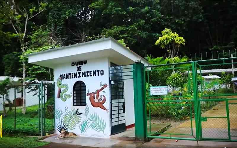 Minizoologico UNAS Tingo María Minizoologico UNAS Tingo María