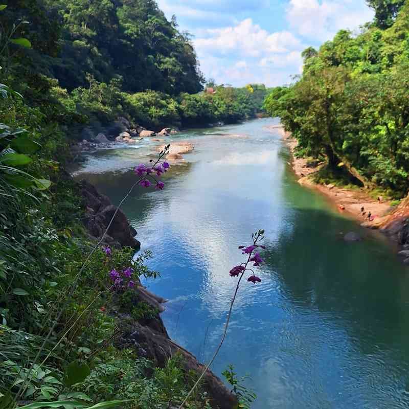 Tingo María Selva y Misterios de la Naturaleza Tingo María Selva y Misterios de la naturaleza