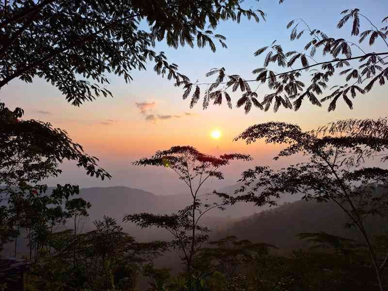 Tingo María Selva y Misterios Tingo María Selva y Misterios